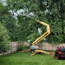 Best Tree Trimming and Pruning  in Windsor, CO